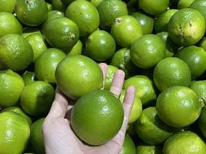 Citron vert frais sans pépins/citron vert: Les citrons à peau fine sont juteux et non amers lorsqu'ils sont mélangés à de l'eau chaude. Lima - Product Image 5