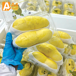 Durian thaïlandais frais, variété Monthong, goût sucré et crémeux, 100% pulpe de durian thaïlandais, pulpe congelée, 500g, durée de conservation de 14 jours, approvisionnement en vrac - Product Image 3