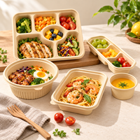 Suikerrietbagasse lunchbox met deksel, wegwerp voedselverpakking voor restaurants, catering en maaltijdbezorging