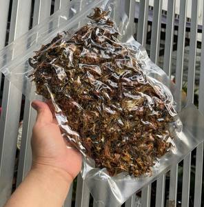 NUEVO PRODUCTO 2026 Deliciosas Rodajas de Carambola Tropical Seca, Naturalmente Ácida, Paquete Minorista OEM - Product Image 3