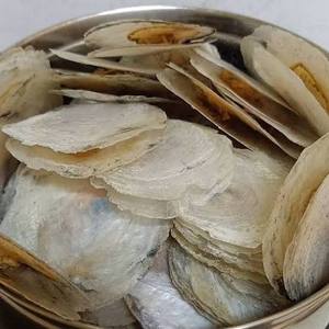 Oferta Especial: Conchas de Capiz Blancas Naturales 100% Puras, Pulidas y Sedosas - Diseño Rústico Moderno para Decoración Navideña - Product Image 6