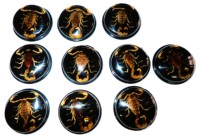 Scorpion doré, spécimen réel, cabochon rond en plastique noir moderne, 38,5x38,5 mm, fond plat, pour artisanat et fabrication de bijoux