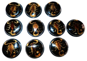 Escorpión Dorado, Espécimen Real, Cabujón de Plástico Redondo de 38.5x38.5 mm, Base Plana Negra para Manualidades y Joyería - Product Image 6