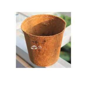 Pot de culture moderne en fibre de coco naturelle ECO Premium Blue Lotus Ben Tre Coir pour la plantation de semis et la vente en gros commerciale - Product Image 1