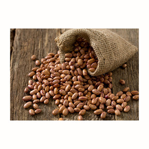 Frijoles Pinto Secos al Mejor Precio, Frijoles Rinón Ligeros con Motas - Product Image 4