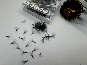 Extensions de cils préfabriquées en gros, très demandées, 10D-20D, longues et naturelles, courbures CC/DD/M/L, en cheveux synthétiques, service OEM - Product Image 4