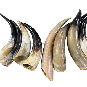 ฮอร์นดื่มไวกิ้งพร้อมขอบทองเหลืองกำหนดโลโก้เองเป็นมิตรต่อสิ่งแวดล้อมไวกิ้งฮอร์นดื่มไวกิ้งทำจากหัตถกรรม tayyab - Product Image 3