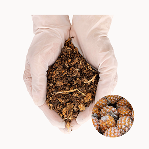 Fournisseur Vietnamien : Écorces d'ananas séchées naturelles, prix compétitif, meilleures ventes, pour alimentation animale, approvisionnement en vrac - Product Image 1