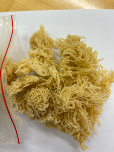 Musgo Marino Natural Seco de Primera Calidad, Color Marrón Claro Amarillento, Textura Crujiente, Calidad de Exportación, Proveedor a Granel - Product Image 4