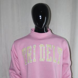Sweat-shirts TRI DELTA à col montant 450 GSM, broderie personnalisée avec nom, coupe ample et oversize, 100% coton molletonné French Terry - Product Image 6