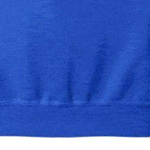 Royal Blue Women's Hooded Eco-Friendly <b>Winter</b> <b>Hoodies</b> Gold Embroidered Sigma Gamma Rho Williamsom College Script Logo Long - Product Image 3