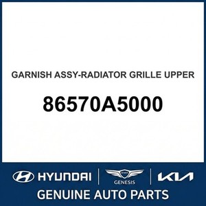 Molduras y Adornos para Carrocería de Elantra Nuevos 86570A5000 - Product Image 1