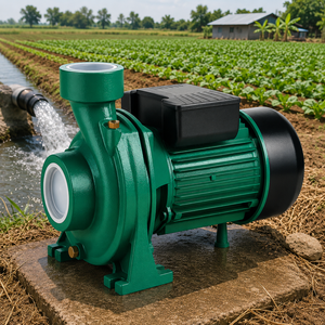 SnowFlake THF5AM Centrifugal Pump 1HP Single-Phase Electric Motor 1 in Discharge Flange Connection for Irrigation Agriculture - Product Image 6