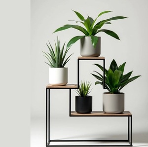 Support de plantes en métal durable et écologique, 4 niveaux, nouvelle arrivée tendance, directement de l'usine, pour décoration de jardin intérieur. - Product Image 4