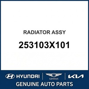Radiadores Nuevos para Elantra 253103X101 - Product Image 1
