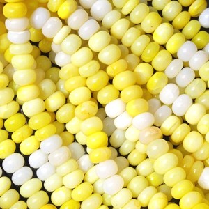 Natural Shaded <b>Candy</b> Yellow Opal Smooth Rondelle Beads 7-8mm Opal Loose Gemstone Beads For Jewelry Making DIY Bracelet <b>Necklace</b> - Product Image 4