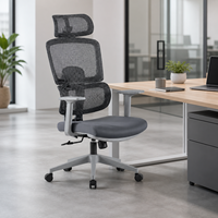 Nouvelle chaise de bureau ergonomique en maille 2026 avec support lombaire réglable en hauteur pour le bureau et le lieu de travail