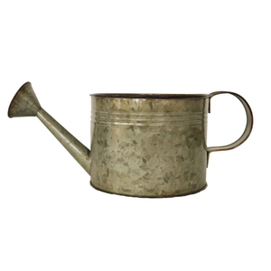 Regadera de Metal Galvanizado Vintage, Maceta Rústica de Estilo Campestre, Maceta Decorativa de Hierro, Acero Gris Envejecido, para Interiores y Exteriores, Jardín - Product Image 1