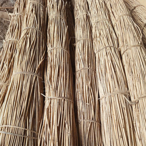 Bâtons de canne brute sèche à vendre, qualité supérieure, naturels, robustes, en rotin manau. - Product Image 1