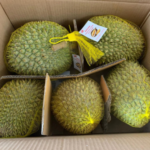 Fruta Entera y Pulpa de Durian Congelada 2026, la Más Vendida - Product Image 1