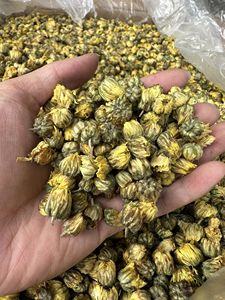 Proveedor de Fábrica en Vietnam de Flores de Manzanilla Secas para Té Herbal, Venta al Por Mayor, Fabricante y Exportador - Product Image 2