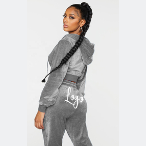 High Quality Custom logo Design <b>Womens</b> Blank 2 Piece Set <b>Velour</b> <b>Tracksuit</b> Female Sportswear Velvet Fleece <b>Tracksuits</b> for <b>Women</b> - Product Image 5