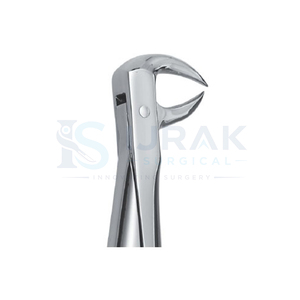 คีมถอนฟันแบบผ่าตัด Ijrak สำหรับฟันกรามบน ทำจากเหล็กกล้าไร้สนิม ใช้ด้วยมือ  ชนิดเครื่องมือผ่าตัดคลาส I ได้รับการรับรองมาตรฐาน CE - Product Image 5