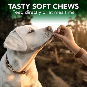 Friandises à mâcher bio OEM/ODM pour chiens, soutien allergique et immunitaire, avec oméga-3, citrouille et enzymes digestives pour soulager les démangeaisons et favoriser une peau et un pelage sains - Product Image 4