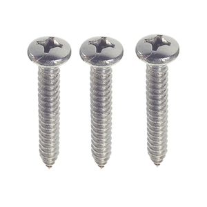 Tornillos de Cabeza Plana de Acero Inoxidable Galvanizado en Zinc, Personalizados por el Fabricante, Estándar ISO, Sistema Métrico Vietnamita - Product Image 3