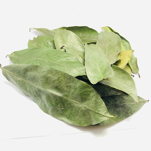 Premium Dried Soursop Leaves Black <b>Tea</b> Organic 25 <b>Tea</b> Bags/<b>Box</b> Vacuum Packed Vietnam Health <b>Tea</b> - Product Image 5