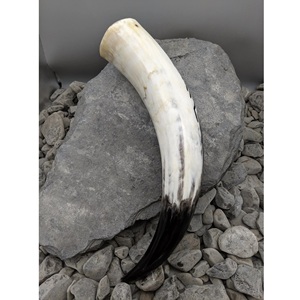 Cuerno Vikingo para Beber, Hecho a Mano, Ecológico, Pulido, Moderno, de Alta Calidad, Personalizado, para Hogar, Restaurante, Hotel, en Oferta - Product Image 2