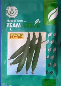 Sponge Gourd Seeds High-Yield Ready for Farming - Product Image 5