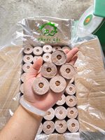 Boulettes de tourbe de coco du Vietnam Green Future Bloc de plantation Cocopeat Jiffy par Vietnam Pellets de coco de coco pour la plantation