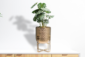Macetas Grandes y Resistentes de Hierro con Recubrimiento en Polvo para Exteriores, Macetas Contemporáneas al por Mayor para Hoteles, Patios y Jardines - Product Image 5