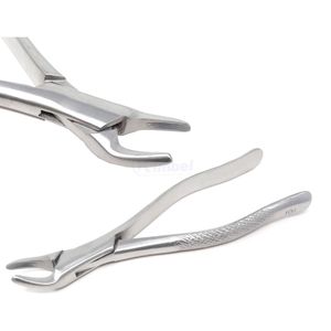 Pinzas de Extracción Dental Comfort Grip, Instrumento Quirúrgico Bucal de Acero Inoxidable, Pinzas Universales para Extracción Dental - Product Image 4