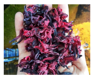 Hibiscus séché en vrac pour l'exportation – Pétales de roselle naturels du Vietnam pour l'industrie de la transformation du thé - Product Image 4
