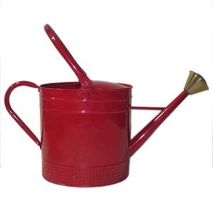Arrosoir en métal antique fini rustique, de haute qualité, pour la décoration extérieure du jardin, taille personnalisable - Product Image 2