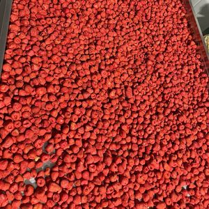 Dried Strawberry Crunchy and Whole Vietnam Origin Natural Ingredients Versatile Material for Beverage Mixes and Food Industry - Product Image 3