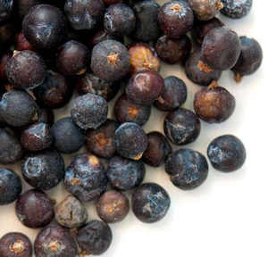 Bulk Wholesale 2026 New Season Premium Quality Natural Dried Juniper Berries Organic Supply For Private <b>Label</b> Brands - Product Image 5