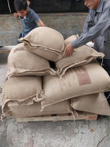 [Article Populaire] Grains de Café Vert Arabica S16 Grade A Pur Naturel Sans Allergènes Vietnam Sac PP 60kg Vente en Gros pour Torréfaction - Product Image 6