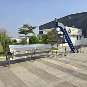 Machine à peler les noix de cajou 220V 0.2KW pour l'industrie agroalimentaire et les usines de snacks - Product Image 1