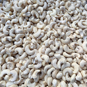 Trusted Factory Kenya Cashew Kernel Ww180 Raw Edible Cashew Nuts From Vietnam Customized Packing - Product Image 1