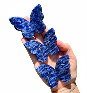 Ailes de papillon en sodalite naturelle sculptées, pierre énergétique, spécimen minéral de guérison pour la décoration de la maison et du bureau (vente en gros) - Product Image 5