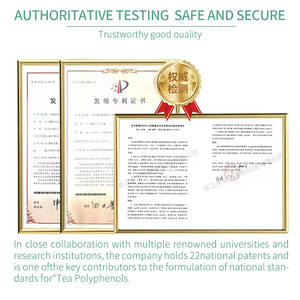 สารสกัดจากชาเขียวผง90% บริสุทธิ์ EGCG สำหรับการสนับสนุนสุขภาพ - Product Image 2