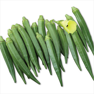 เมล็ดพันธุ์กระเจี๊ยบเขียว/บินดี ชีฮาซัดี เอฟวัน ไฮบริด - Product Image 1