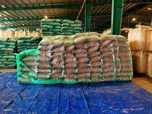 Granos de Café Verde Robusta de Vietnam, Más Vendidos |   Nueva Cosecha de Judías Verdes 2026 |   Suministro al por Mayor para Exportación a Granel - Product Image 6