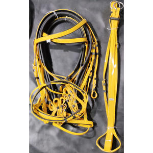 SE VENDE BRIDA DE CABALLO Y MARTINGA DE PVC CON MONTAJE A PRUEBA DE ÓXIDO INDIA HECHO COLOR LIMA EN DÓLAR 12 SE ACEPTA TARJETA DE CRÉDITO - Product Image 2