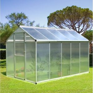 Serre en polycarbonate pour l'hiver, 10 L x 6 W, pour utilisation en jardin, couleur verte - Product Image 1