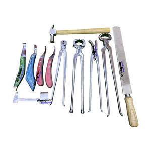 Kit de 11 outils de soin des sabots de cheval, instruments de ferrage personnalisés pour professionnels, fabriqué par Wenquar - Product Image 1