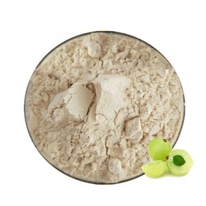 Poudre de fruit d'Amla 100% pure et naturelle (Phyllanthus emblica) – Poudre de groseille indienne riche en vitamine C pour smoothies et boissons - Product Image 1